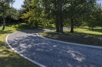 Road Asphalt through Forest in New Zealand