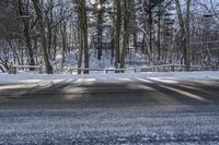 Road Asphalt Through Snowy Forest