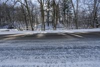 Road through Snowy Forest