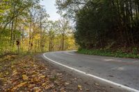 a curve with lots of leaves on the side of the road in autumntime on the edge of a wooded area