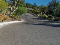 this is a road with some trees and plants next to it on the hillside side