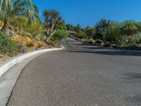 this is a road with some trees and plants next to it on the hillside side