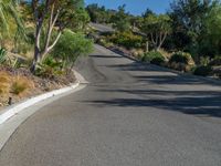 this is a road with some trees and plants next to it on the hillside side