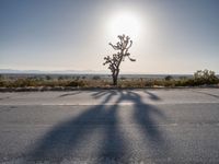 Road Through California's Desert Landscape