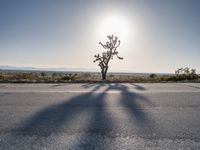 Road Through California's Desert Landscape