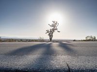 Road Through California's Desert Landscape
