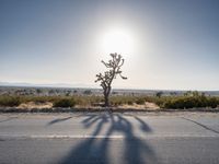 Road Through California's Desert Landscape
