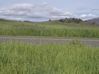 Road through California landscape