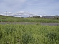 Road through California landscape