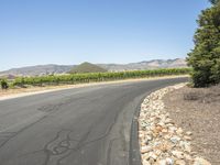 Scenic Road in California, USA