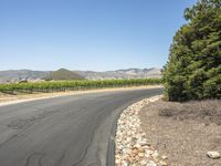 Scenic Road in California, USA