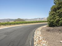 Scenic Road in California, USA