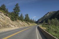 Road in Canada surrounded by Trees and Vegetation