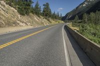 Road in Canada Surrounded by Trees and Vegetation