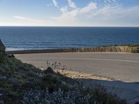 Road in Coastal Landscape, Portugal