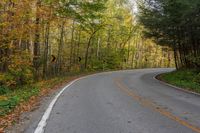 a curve on a road between trees with leaves on the ground and grass along either side of it