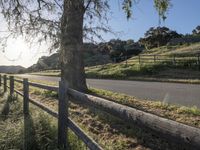 a wooden fence separates the road and grassy field between two trees on a hillside with hills in the background