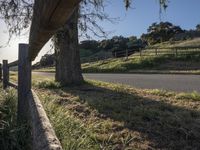 a wooden fence separates the road and grassy field between two trees on a hillside with hills in the background