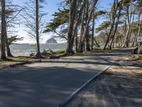 Road in California: A Coastal Landscape