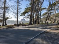 Road in California: A Coastal Landscape