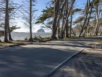 Road in California: A Coastal Landscape