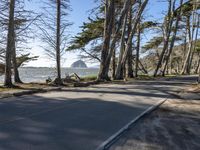 Road in California: A Coastal Landscape