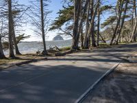 Road in California: A Coastal Landscape