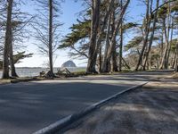 Road in California: A Coastal Landscape