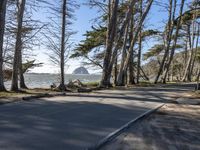 Road in California: A Coastal Landscape