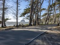 Road in California: A Coastal Landscape