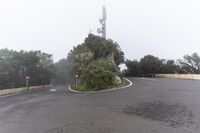 a road with a corner on a foggy day with no cars driving or standing