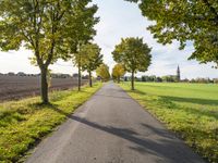 an empty asphalt road lined by trees in the countryside with a church tower to the right of it