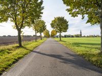 an empty asphalt road lined by trees in the countryside with a church tower to the right of it