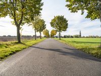 an empty asphalt road lined by trees in the countryside with a church tower to the right of it