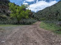 Road Landscape in Utah: A Perfect Day for Nature