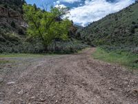 Road Landscape in Utah: A Perfect Day for Nature