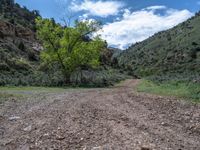 Road Landscape in Utah: A Perfect Day for Nature