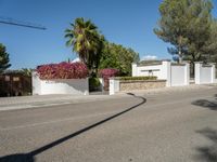 Road in Mallorca: Clear Sky and Beautiful Landscape