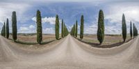 this is a fisheye view of trees near a road in the middle of nowhere