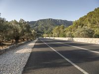 a road lined with small rocks and trees in front of mountains on the background of stones, gravel and rocks