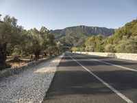 a road lined with small rocks and trees in front of mountains on the background of stones, gravel and rocks