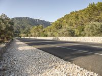 a road lined with small rocks and trees in front of mountains on the background of stones, gravel and rocks