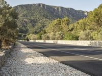 a road lined with small rocks and trees in front of mountains on the background of stones, gravel and rocks