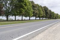 Road in Ontario, Canada | Natural Landscape Photo