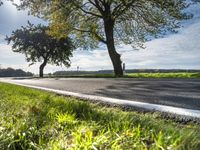 road with a few trees along side it in a rural area with tall grass, trees and green plants