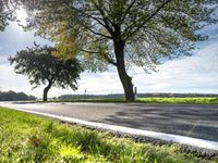 road with a few trees along side it in a rural area with tall grass, trees and green plants