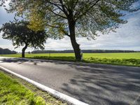 road with a few trees along side it in a rural area with tall grass, trees and green plants