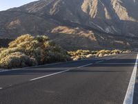 Road in the Rural Landscape of Tenerife, Spain