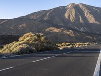 Road in the Rural Landscape of Tenerife, Spain