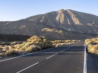 Road in the Rural Landscape of Tenerife, Spain